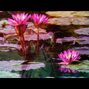 Meet your Posher, Brenna